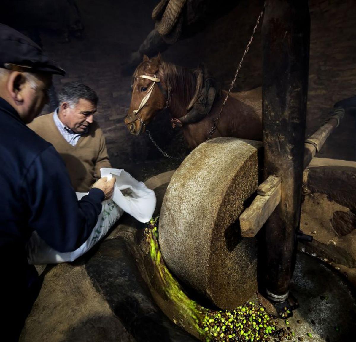 Reconocimiento para la producción de aceite artesanal de Latedo