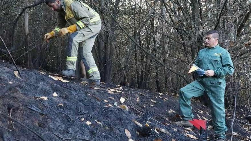 Agentes de las Brigadas de Investigacion de Incendios.