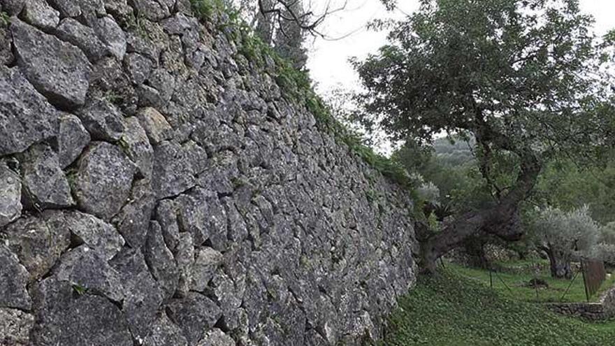 La &#039;pedra en sec&#039; , una estampa clave en la Serra de Tramuntana.