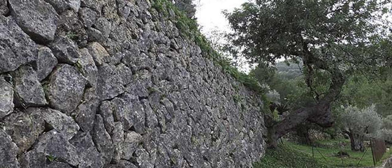 La &#039;pedra en sec&#039; , una estampa clave en la Serra de Tramuntana.