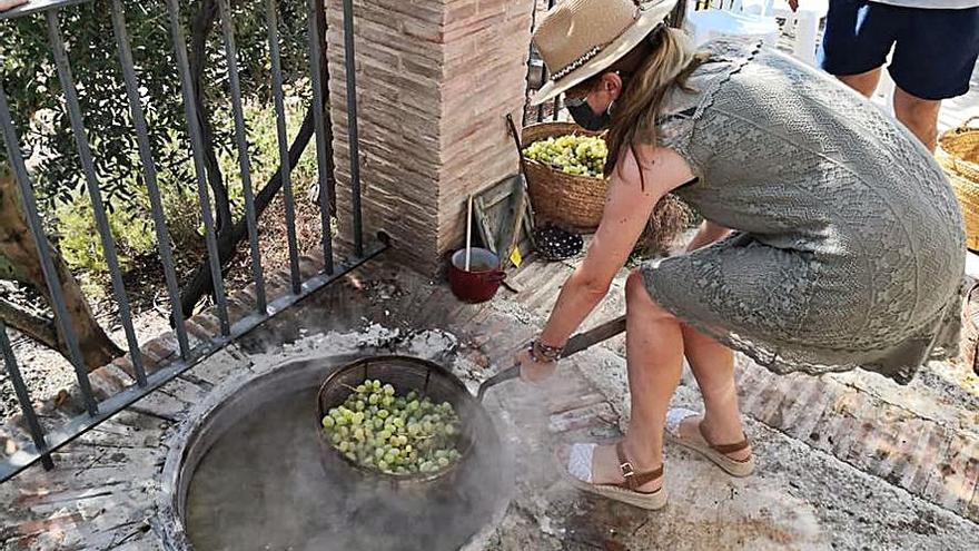 Tavernes Programes contra violència de gènere