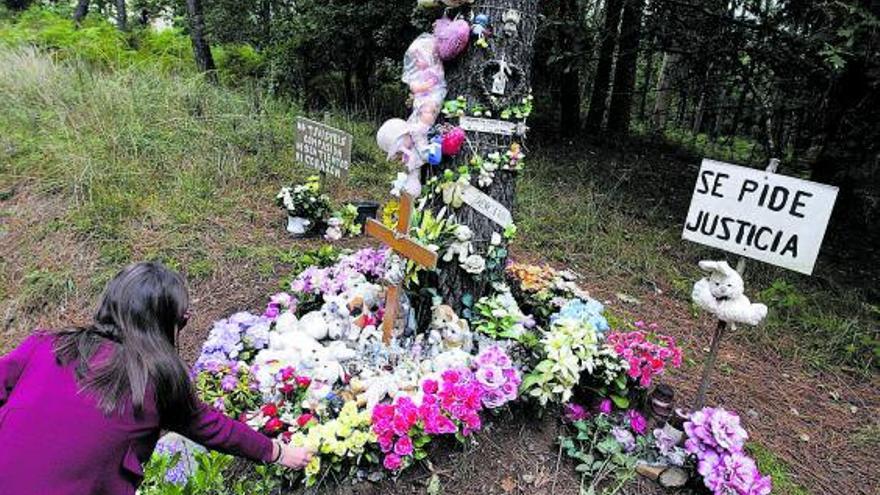 Flores en recuerdo de Asunta en la cuneta donde apareció.  | // X. ÁLVAREZ