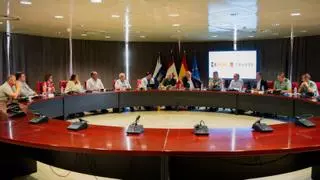La Gomera pide reforzar las plantillas de las policías locales