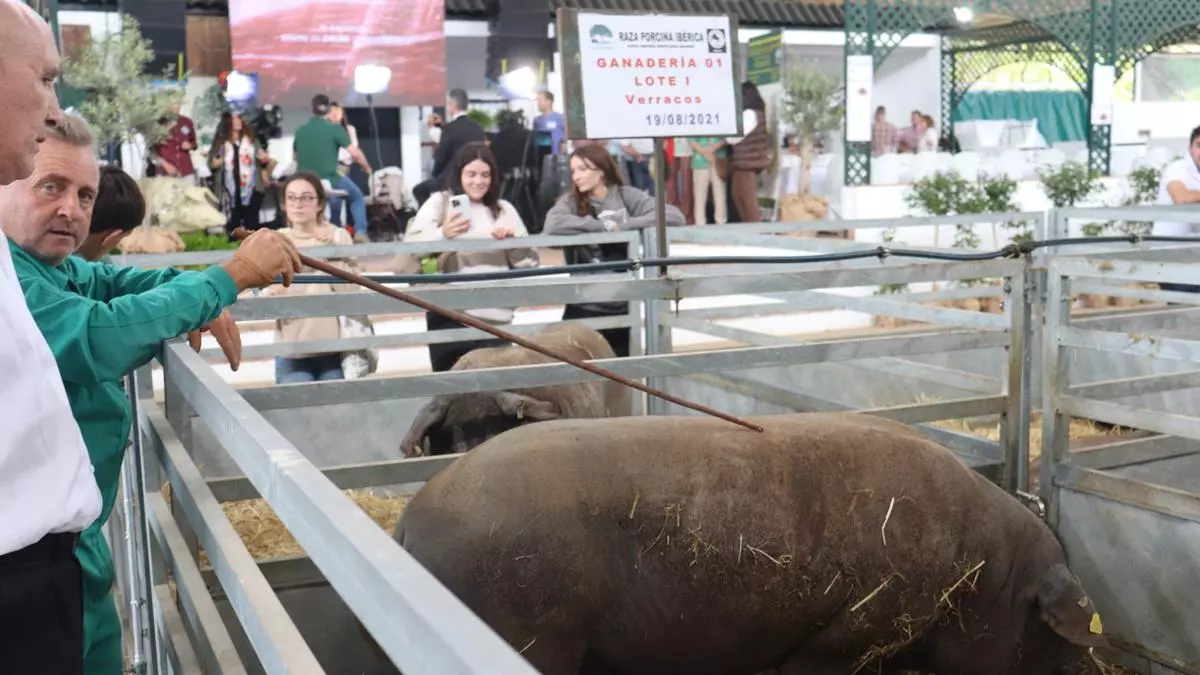 Feria de Zafra: ausencias notables y presencias destacadas