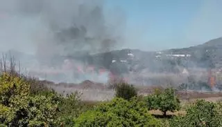 Un incendio originado por un coche ardiendo quema casi 10.000 metros de terreno forestal