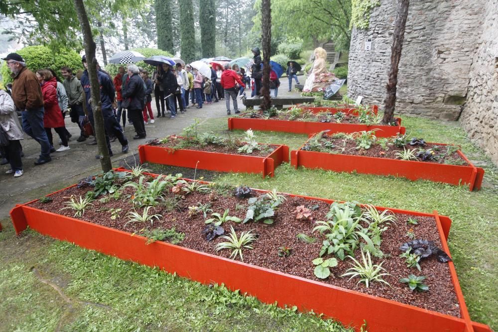 La pluja no desanima l'afluència de públic a «Temps de Flors»