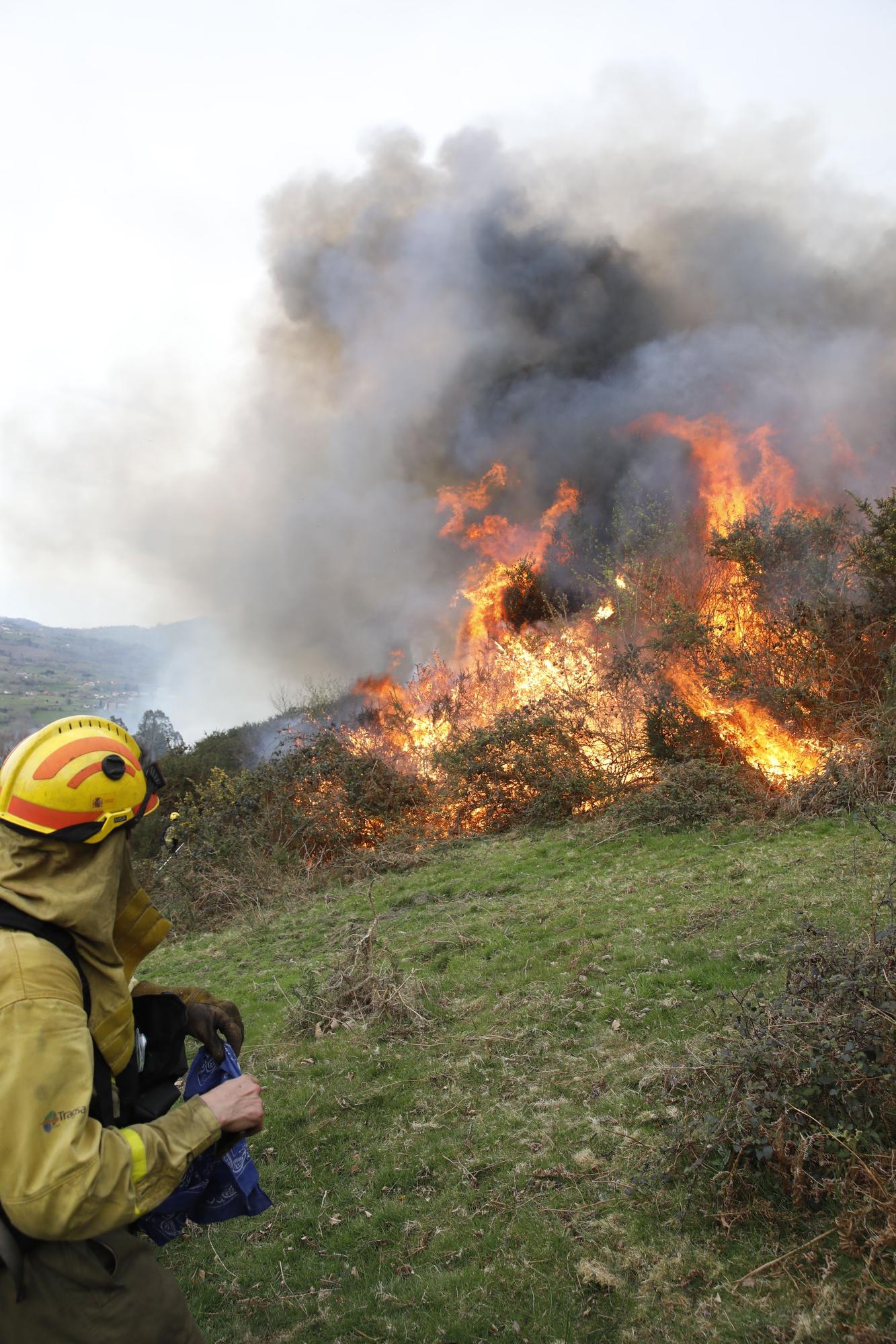 La lucha contra el fuego en el incendio entre Nava y Piloña