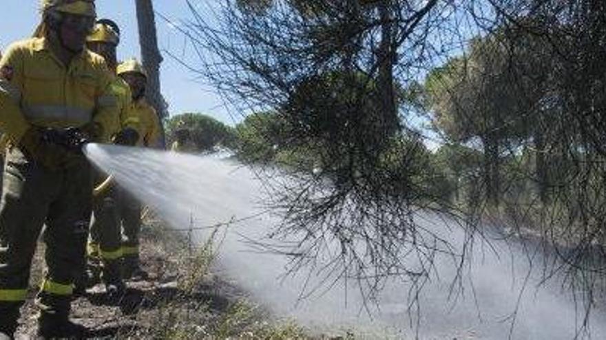 Efectius de la Infoca treballant per refrescar la zona