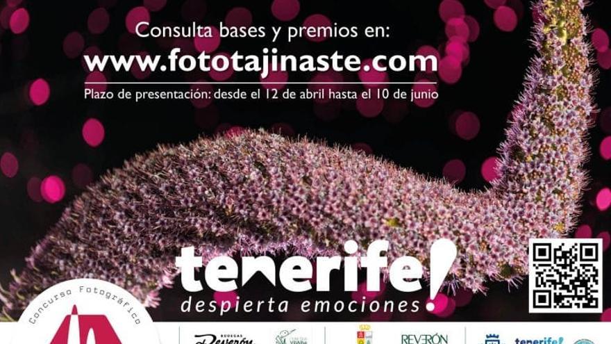 Cabildo and Vilaflor collaborate in the call for the photographic contest ‘The flowering of the tajinaste’