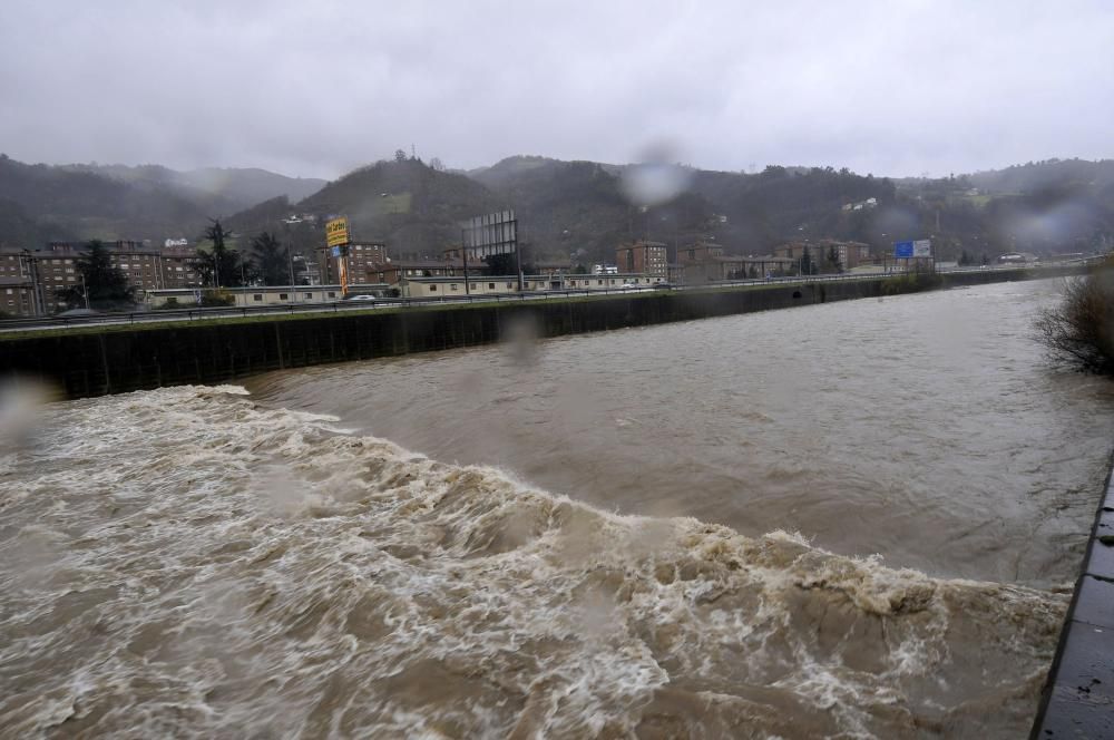 El río Caudal, crecido por las lluvias del temporal.