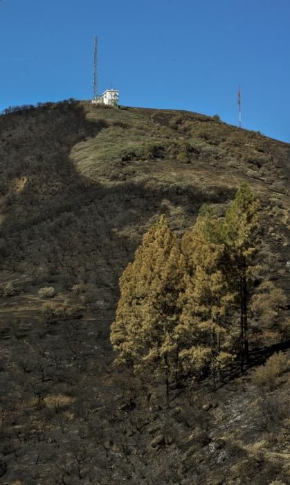 27/09/2017 CUMBRE DE GRAN CANARIA. Consejero del Gobierno de Canarias Morales del incendio. FOTO: J. PÉREZ CURBELO