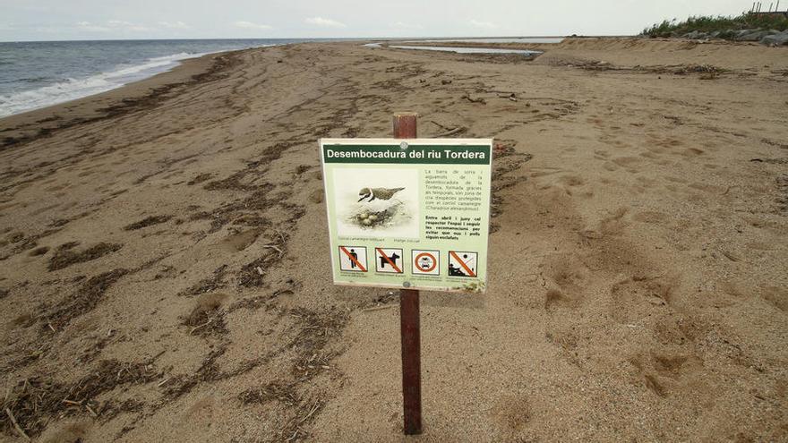 L&#039;estat de la desembocadura de la Tordera, després de l&#039;actuació