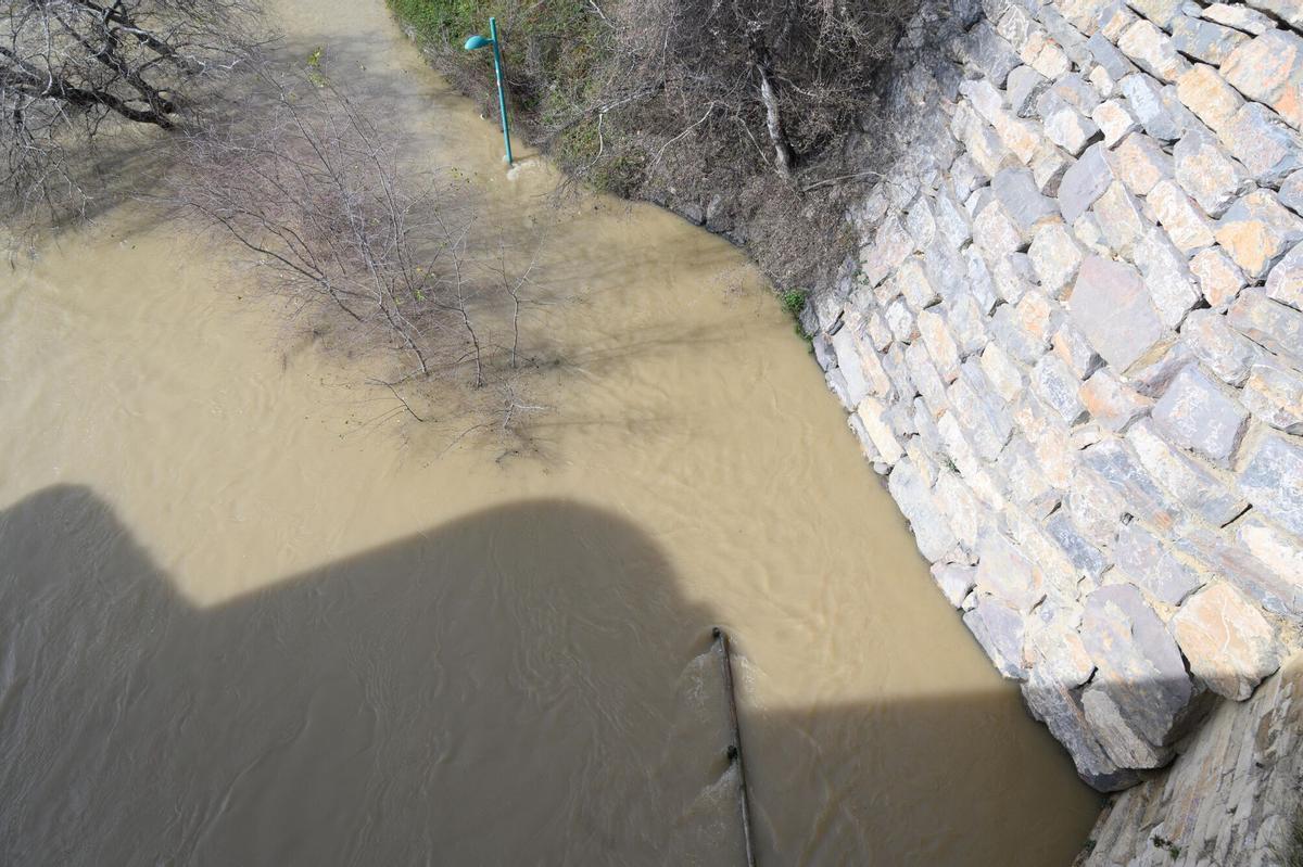 EN IMÁGENES | Crecida del río Ebro a la altura de Zaragoza