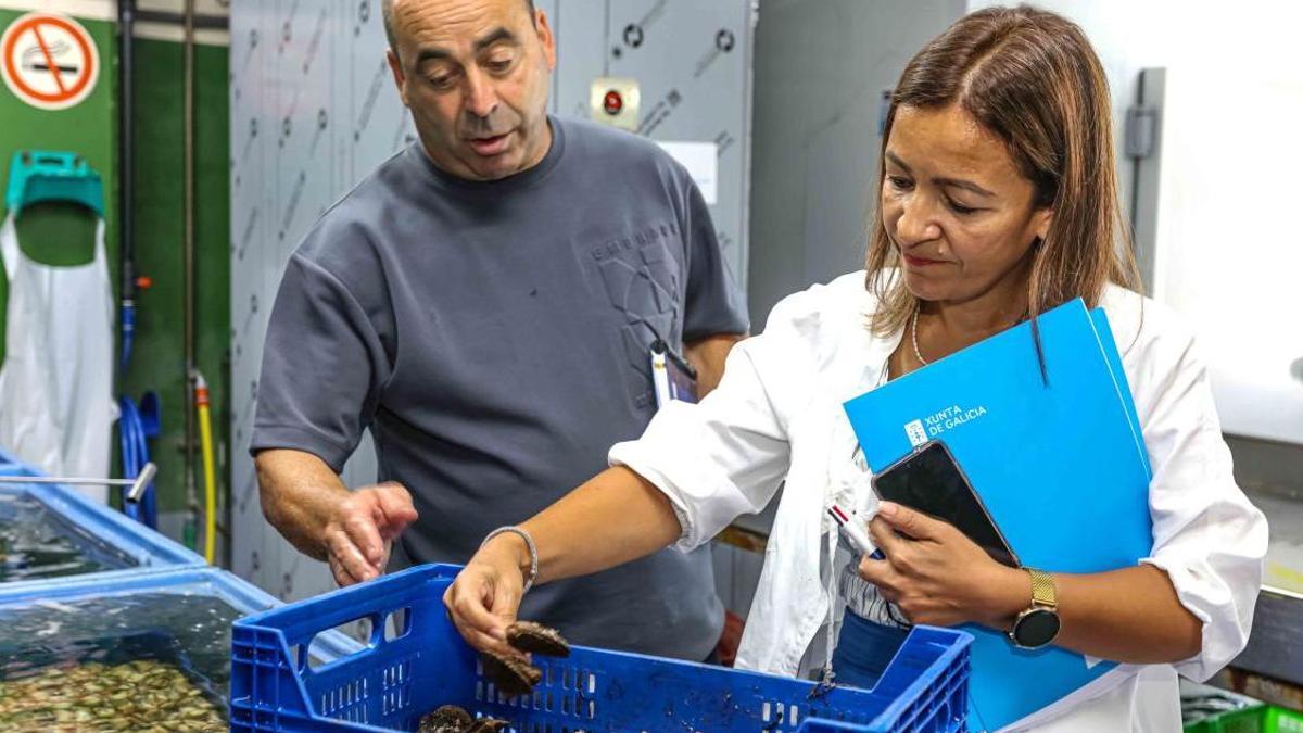 La conselleira do Mar, Marta Villaverde, en una visita ayer a Ferrol.