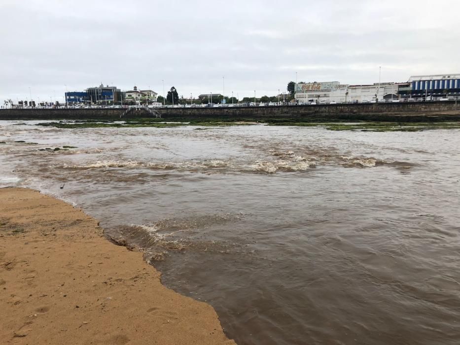 San Lorenzo amanece con ratas y una nueva mancha marrón