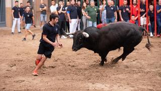 Almassora desvelará este sábado el cartel del encierro de Torrehandilla para las fiestas