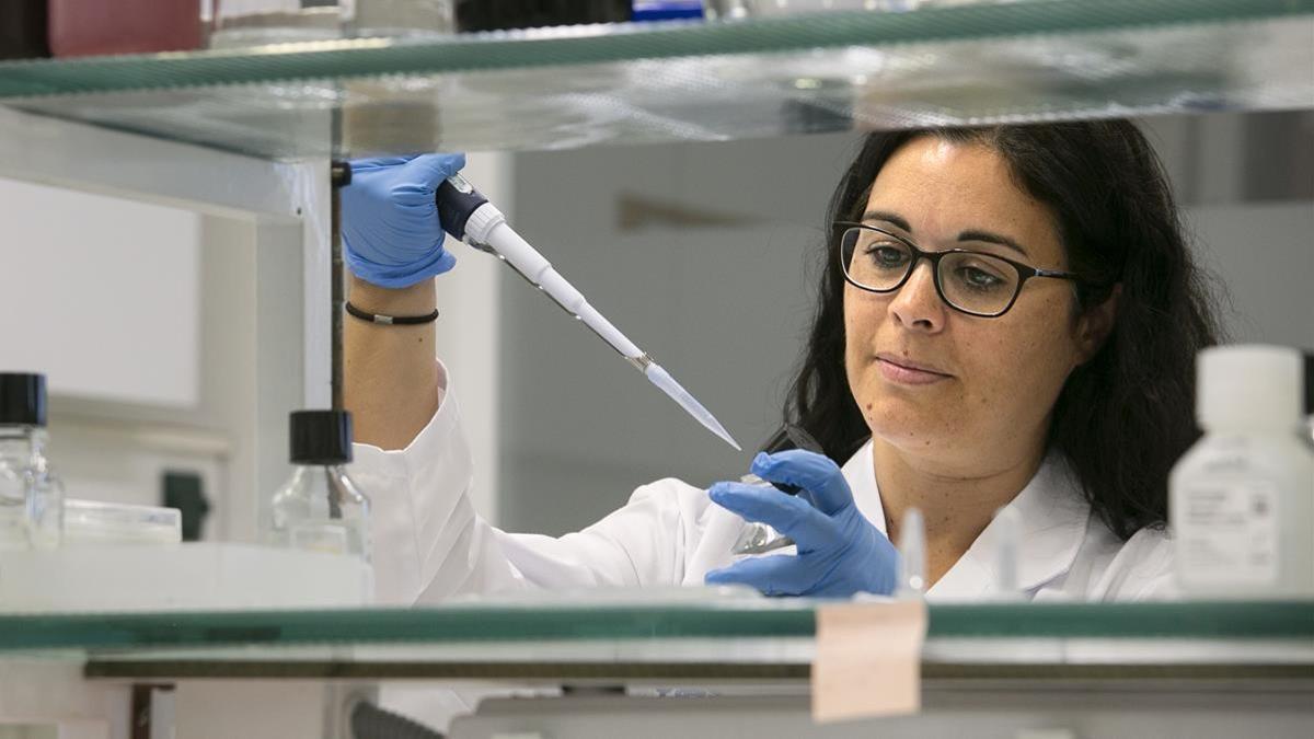 BARCELONA 28 08 2019  MAS SALUD   DOCTORA MARIA JOSE BUZON EN SU LABORATORIO EN EL HOSPITAL DEL VALL D HEBRON  FOTOGRAFA MAITE CRUZ