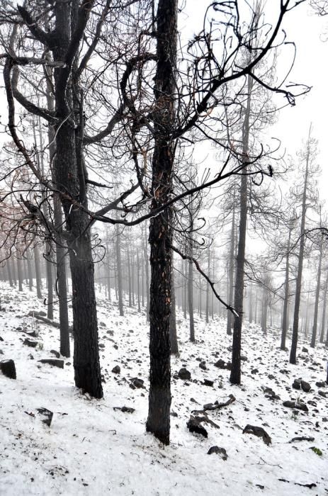 NIEVE CUMBRE GRAN CANARIA