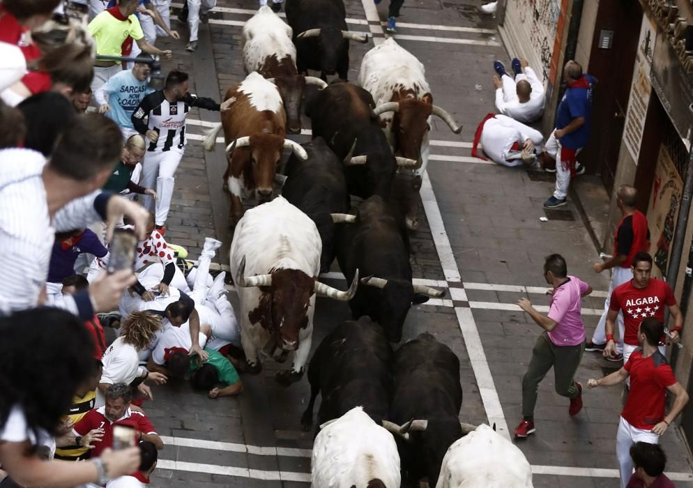 Los toros de Jandilla protagonizan el cuarto ...