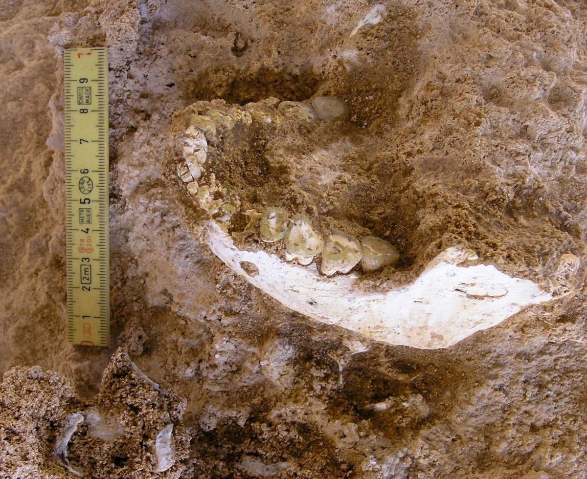 L’ancestre que va viure al Marroc