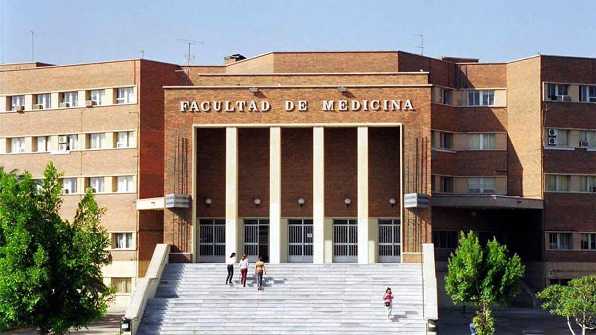 Tres tituladas UMU en Medicina ganan los premios del Colegio de Médicos a los mejores trabajos fin de grado