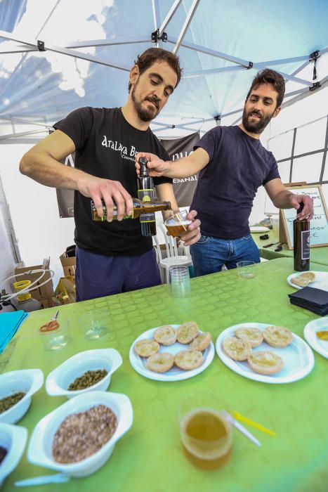 Benejúzar ya tiene su propio «master chef» junior