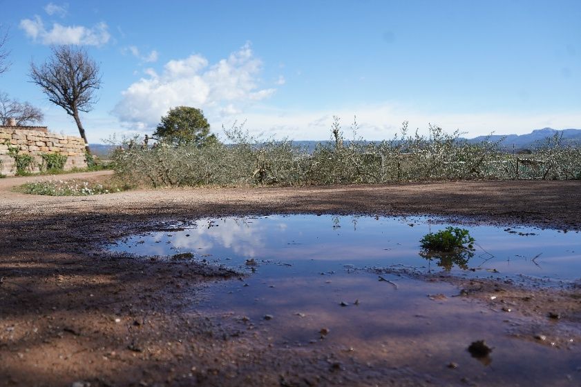 Transéquia 2024: Busca't a les fotos