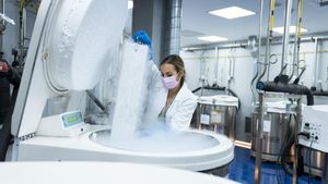 Subvencions per a projectes d’investigació jove i emergent