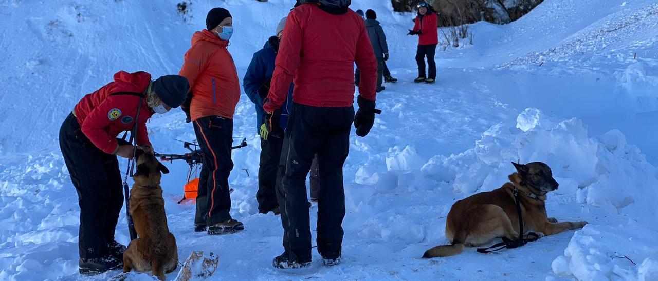 Buscan con perros al operario sepultado por la avalancha de San Isidro