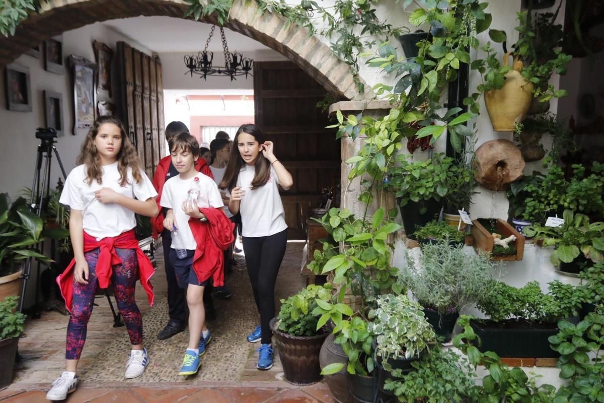 Fotogalería / 'Conoce los Patios de Córdoba' para escolares