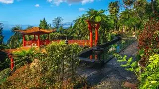 El jardín tropical que aglutina fósiles vivientes: una joya de inspiración oriental a dos horas de España