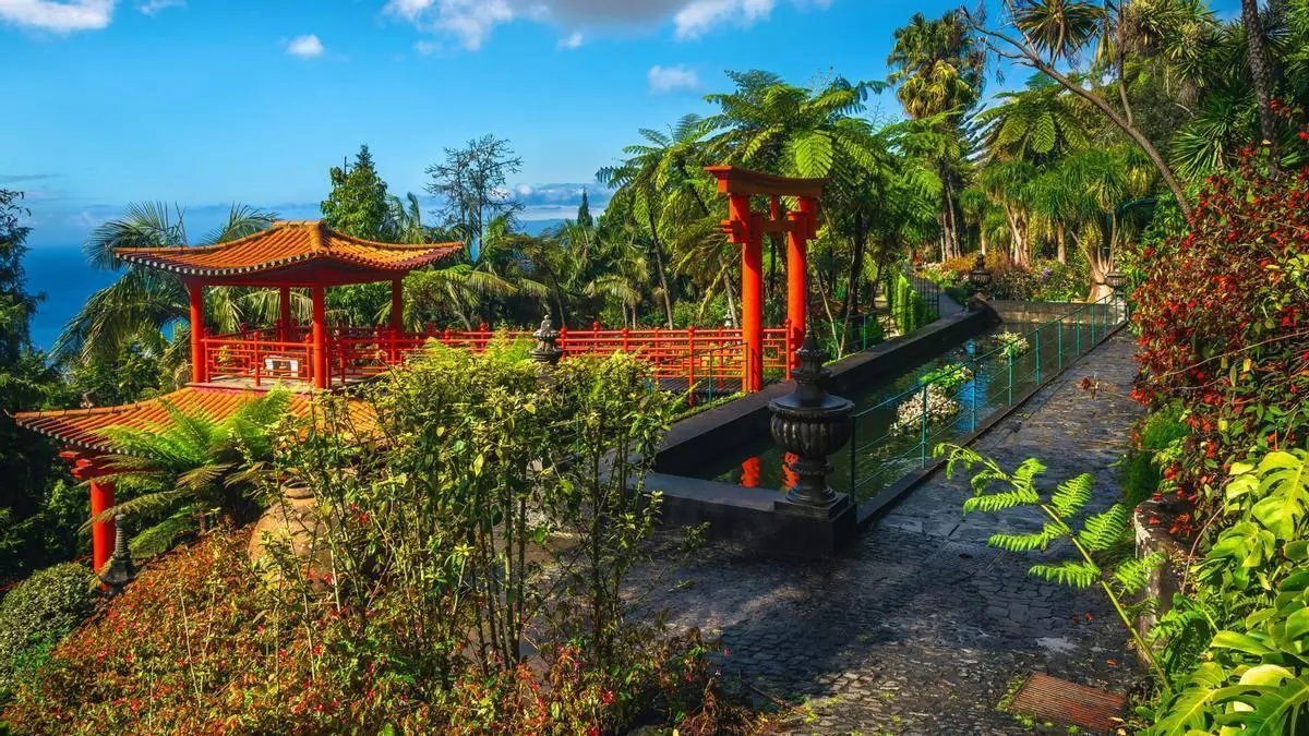 El jardín tropical que aglutina fósiles vivientes: una joya de inspiración oriental a dos horas de España