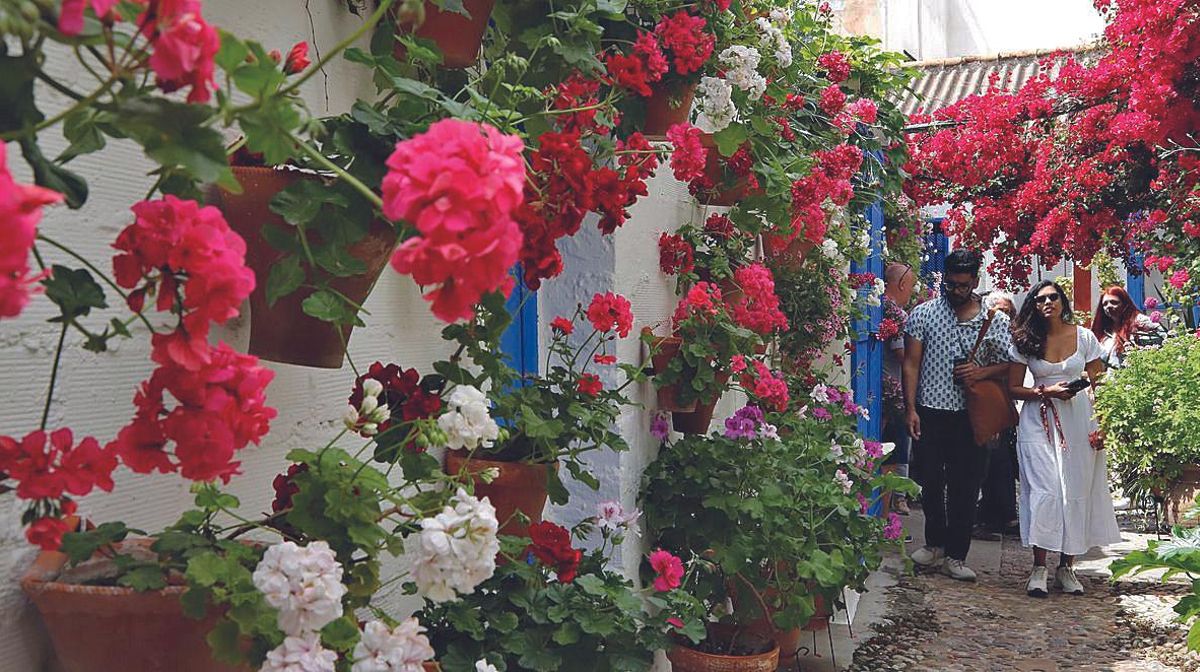 Los Patios de Córdoba ya fueron reconocidos en los Cordobeses del Año, al igual que el conjunto arqueológico de Medina Azahara.