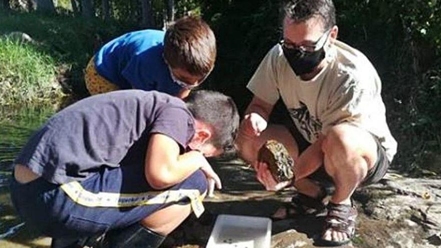 Participants a la jornada observen diversos macroinvertebrats trobats al riu Negre