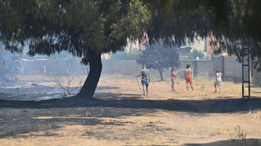 Page: "Algunos no saben ni siquiera si van a cumplir el fin de semana en el mismo cargo"