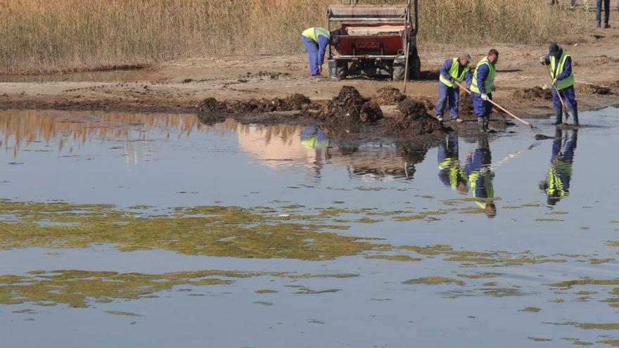 Operarios trabajan en una zona de Los Nietos.