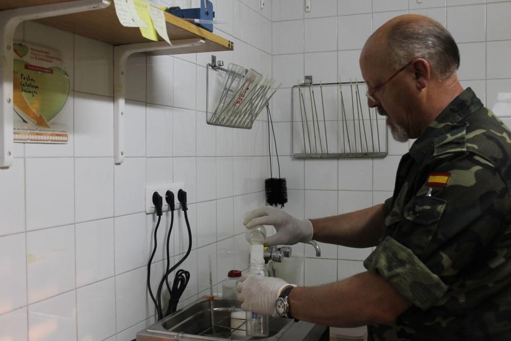 Embestidas militares de 600 millones de espermatozoides para las yeguas asturianas