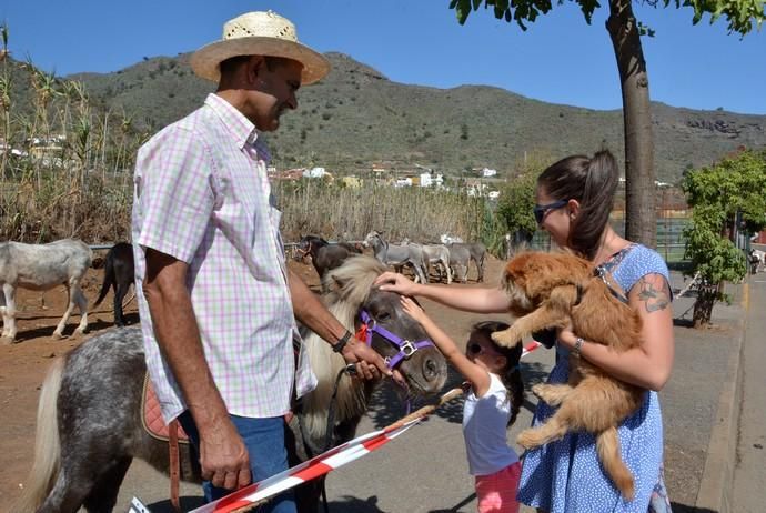 Feria de ganado, misa y procesión de San Miguel