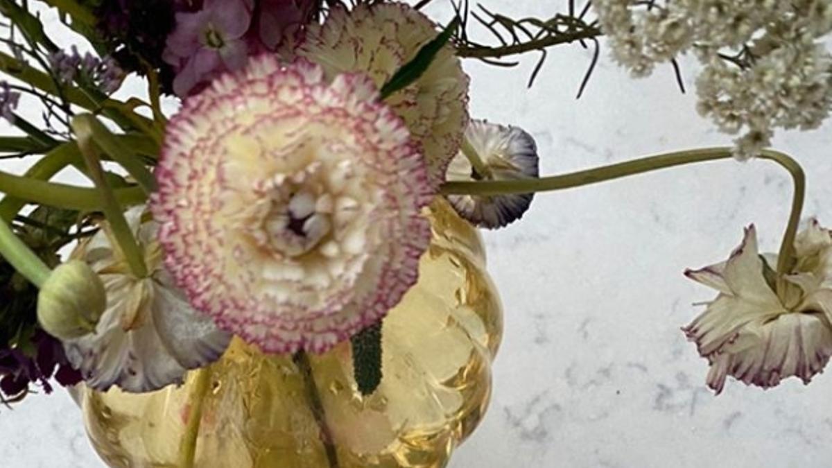 Tarta de arándanos sin azúcar de Paula Ordovás