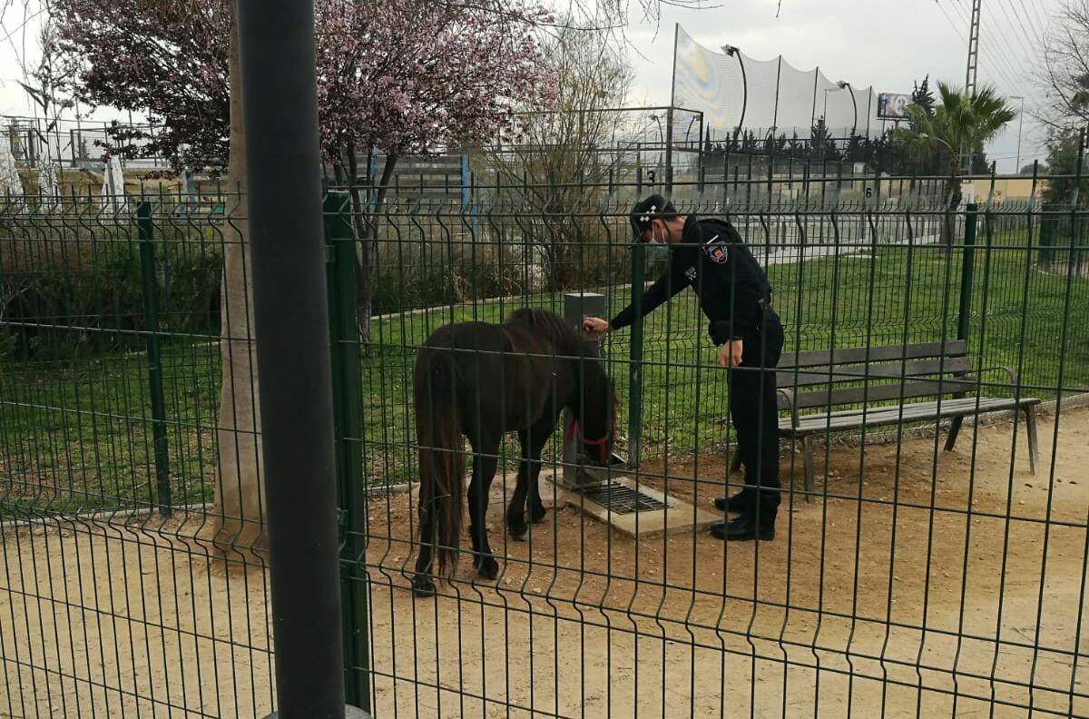 Un agente, con el animal.