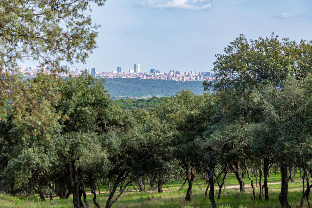 El skyline de Madrid visto desde el parque de El Pardo