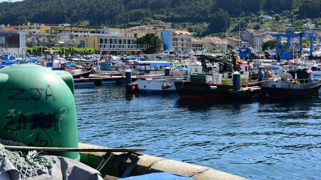 La flota pesquera amarradaen el puerto de Bueu.