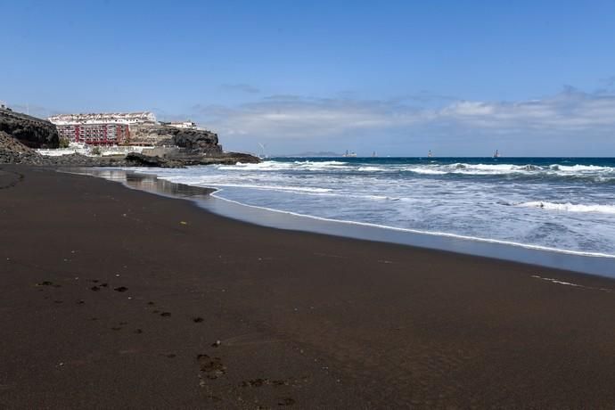 TELDE  13-03-19   TELDE. Localizan a una ballena cachalote hembra de nueve metros muerta flotando en la costa de Telde, la cual fue trasladada hasta el muelle de Taliarte a la espera de sus traslado al vertedero de Juana Grande donde le practicaran la necropsia. FOTOS: JUAN CASTRO