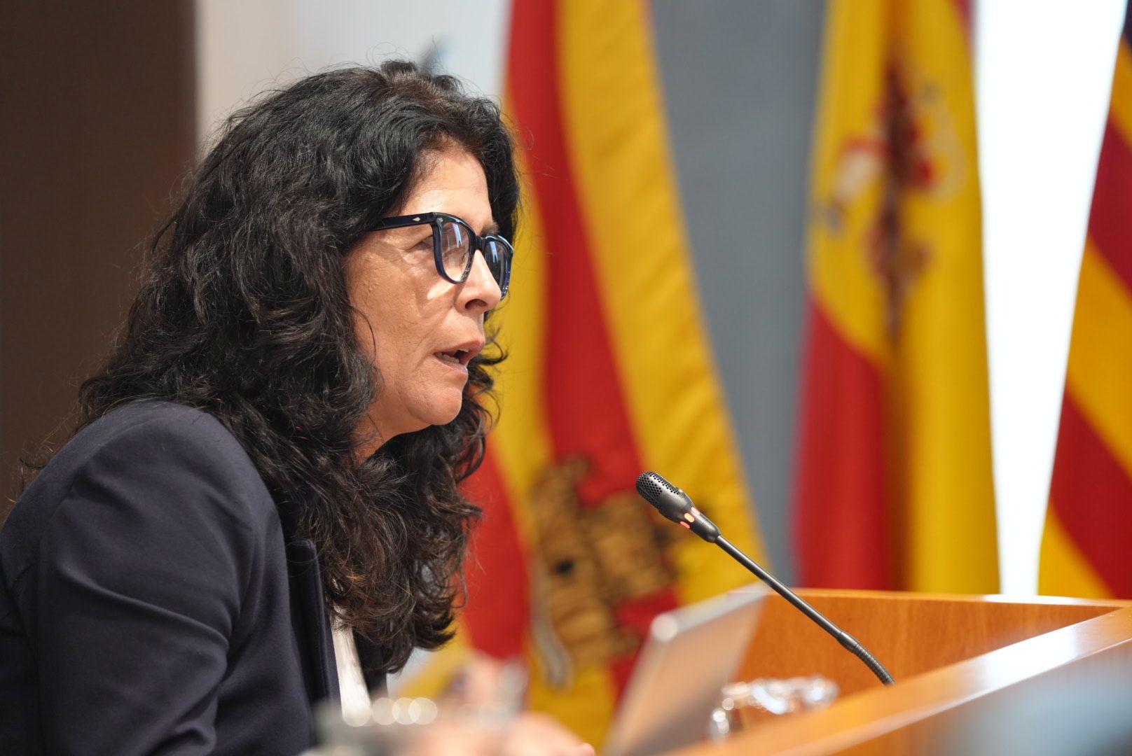 La concejala de Bienestar Social, Lola Penín, interviene en el pleno municipal.