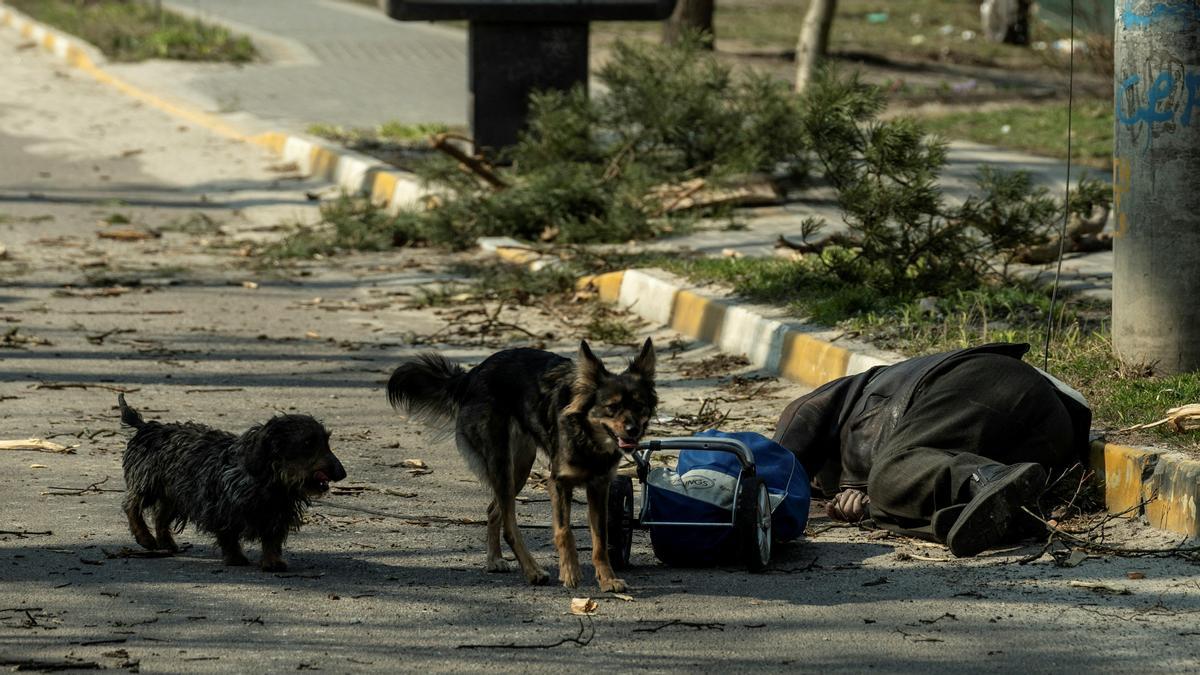 Los perros pasan junto al cuerpo de un civil muerto durante un fuerte bombardeo, mientras continúa el ataque de Rusia contra Ucrania, en la ciudad de Irpin, en la región de Kiev, Ucrania, el 29 de marzo de 2022.