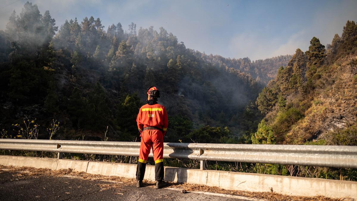Los recursos de emergencia trabajan en el incendio forestal de La Palma.