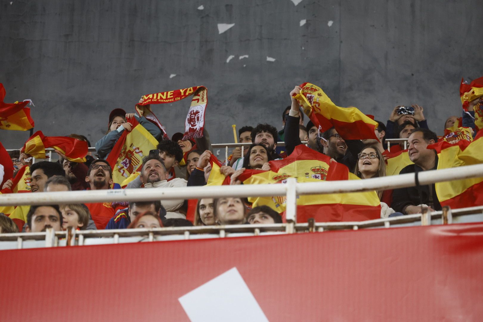 España - Países Bajos: Búscate en la grada de Mestalla