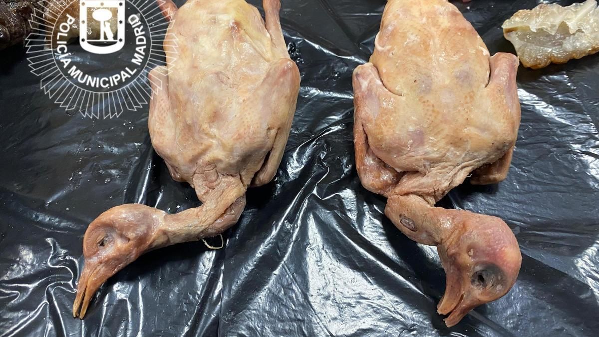 El dueño ofrecía palomas callejeras en lugar de pato a los comensales