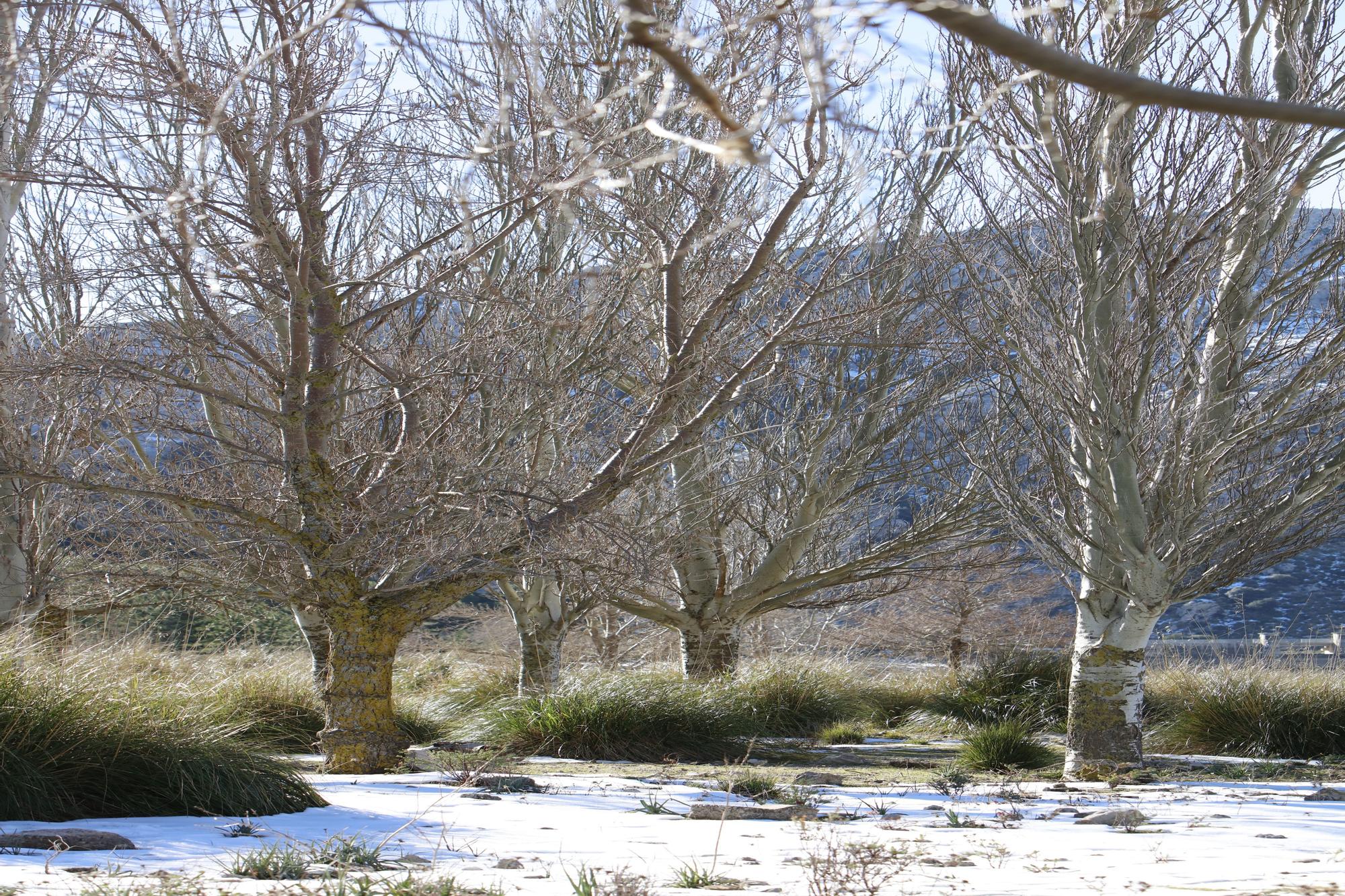 Schnee in der Tramuntana - Wanderung am Stausee Cúber auf Mallorca