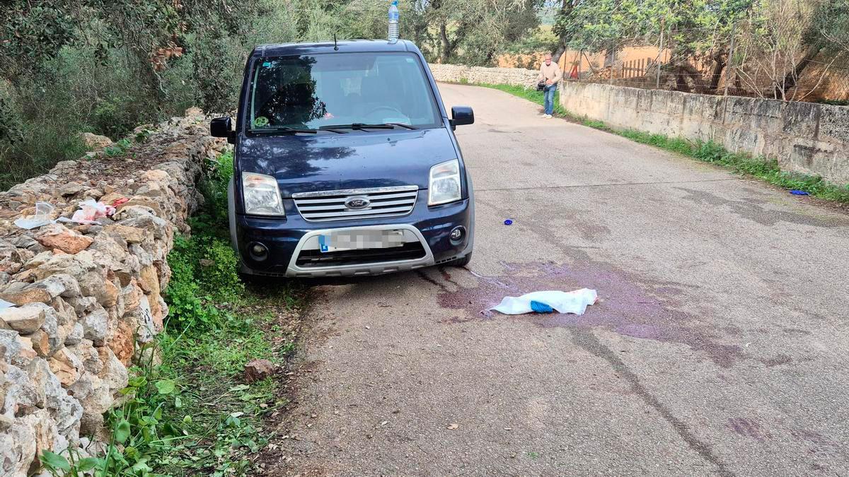 Una gran mancha de sangre en el lugar donde fue atacada la mujer, en Costitx.